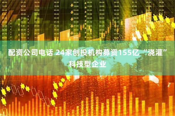 配资公司电话 24家创投机构募资155亿 “浇灌”科技型企业